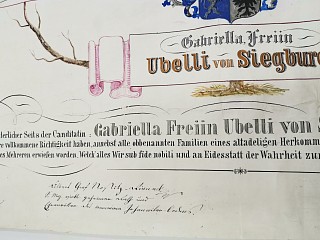 Strom života Ubelli von Siegburg 1866