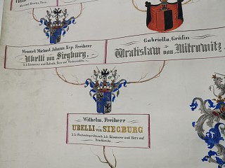 Strom života Ubelli von Siegburg 1866